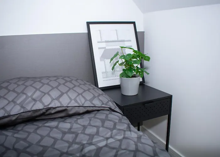 Luxury Cozy 2 Bdr Downtown Apt.1